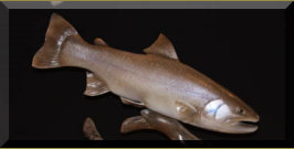 wood Bull Trout carving