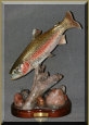 Rainbow Trout carving diving