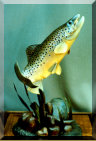Rising Brown Trout carving